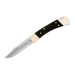 Buck - 110 Folding Hunter