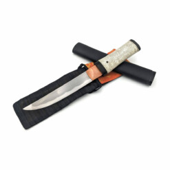 Alternative view of Citadel - Aikuchi