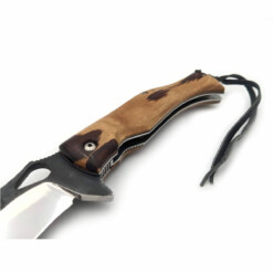 Alternative view of Citadel - Deimos