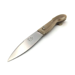 Alternative view of Cognet - Capucin Rinderhorn "Hai"