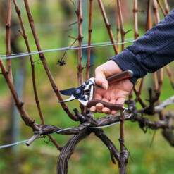 Alternative view of Felco - Gartenschere Felco 6 Elite