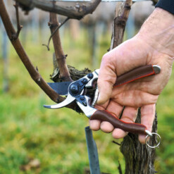 Alternative view of Felco - Gartenschere Felco 8 Elite