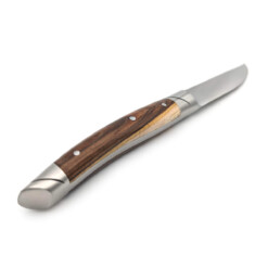 Alternative view of Goyon-Chazeau - "Le Thiers" Steakmesser Pistazie