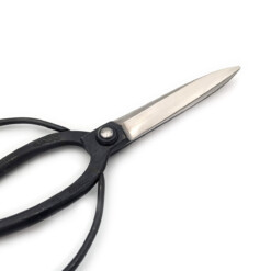 Alternative view of Toyama Hamono / Hidehisa - Japanische Bonsaischere - T-6