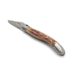 Alternative view of Laguiole en Aubrac - Laguiole 12 cm, Fasseiche