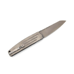 Alternative view of Mercury - Logan