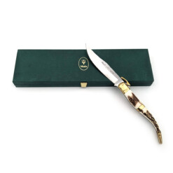 Alternative view of Muela - Curro-A Stag - CURRO-A(SH)