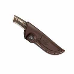 Alternative view of Muela -  Kodiak Stag