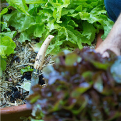 Alternative view of Opinel - No. 08 Gartenmesser