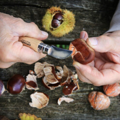 Alternative view of Opinel - Maronimesser No. 07