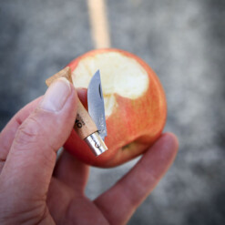 Alternative view of Opinel - No. 02 Taschenmesser Inox