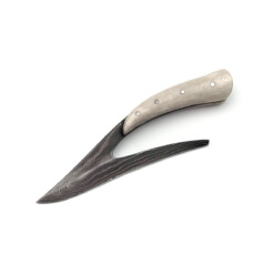 Robert Kaufmann - Ovolus