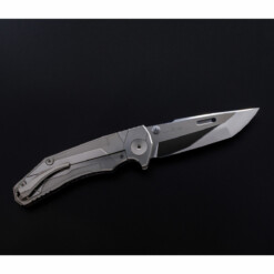 Alternative view of Rockstead - REN-ZDP