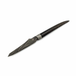 Gunther Löbach - Orynel VIII