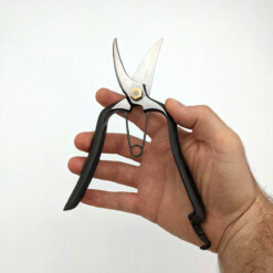 Alternative view of Toyama Hamono / Hidehisa - Japanische Blumenschere - T-19