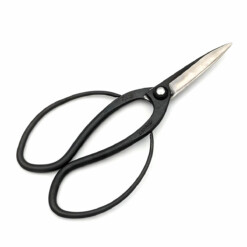 Toyama Hamono / Hidehisa - Japanische Bonsaischere - T-4