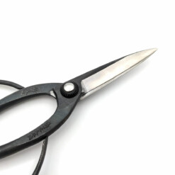 Alternative view of Toyama Hamono / Hidehisa - Japanische Bonsaischere - T-4