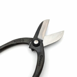 Alternative view of Toyama Hamono / Hidehisa - Japanische Ikebanaschere - T-8