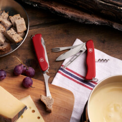 Alternative view of Victorinox - Cheese Master, rot