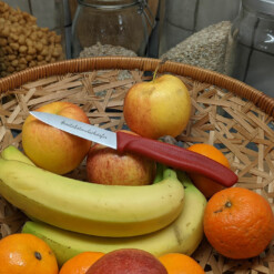 Alternative view of Victorinox - Swiss Classic - Obst-/Gemüsemesser "LORENZI"